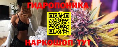 гидропоника Дубна