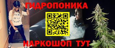 гидропоника Дубна