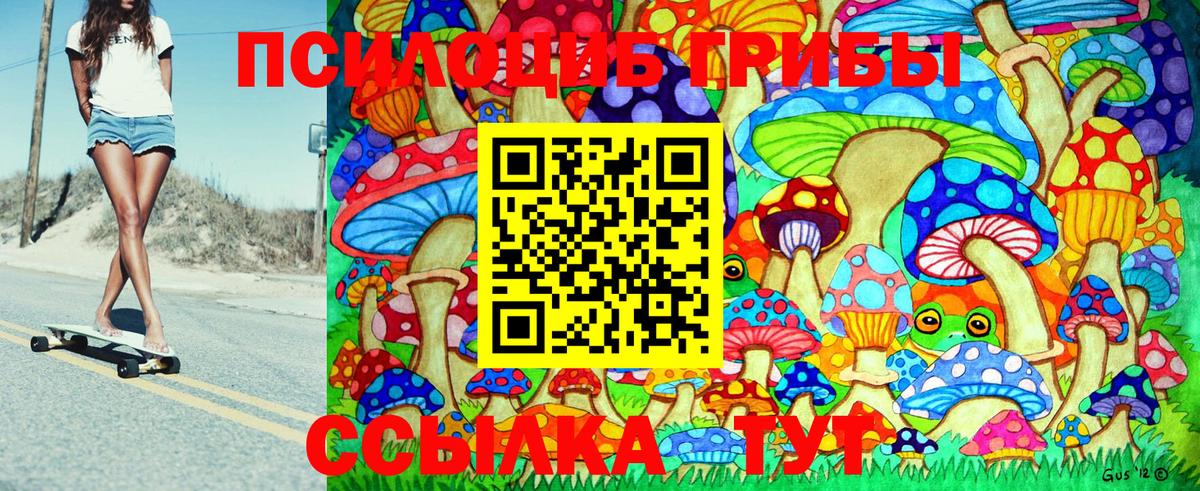 Псилоцибиновые грибы Psilocybine cubensis  Псилоцибиновые грибы GOLDEN TEACHER  Междуреченск  Вход с VPN 