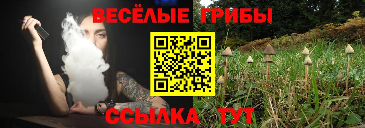 Псилоцибиновые грибы Magic Shrooms Междуреченск
